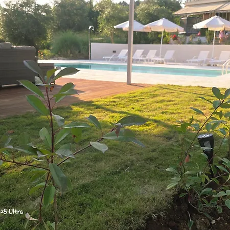 Sundial - Pool & Garden