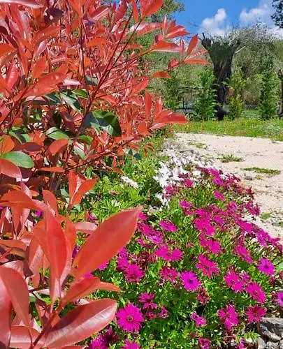 公寓 Sundial - Pool & Garden Pouládes