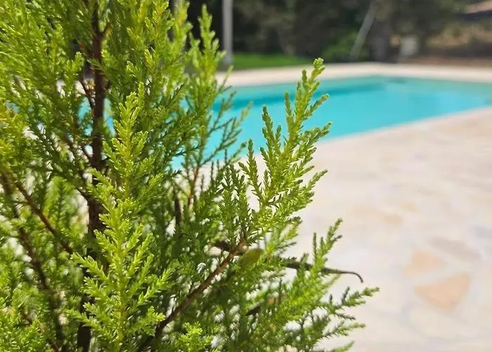 Sundial - Pool & Garden 公寓 *