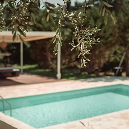 Sundial - Pool & Garden